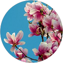 Irina profile picture